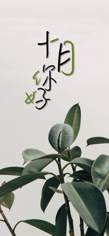 十月你好/小清新绿植