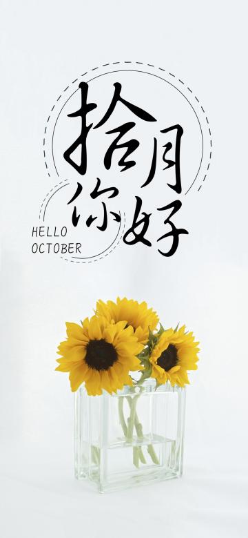 十月你好/小清新向日葵花语