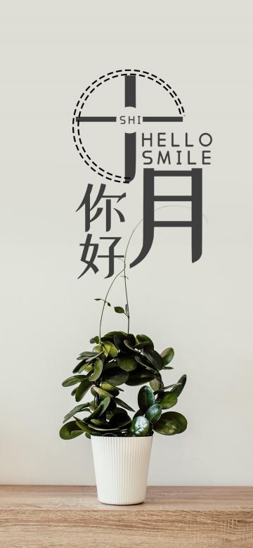 十月你好/小清新文艺范盆栽