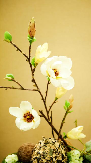 梅花