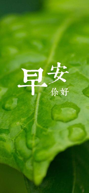 早安/今天是一个崭新的开始