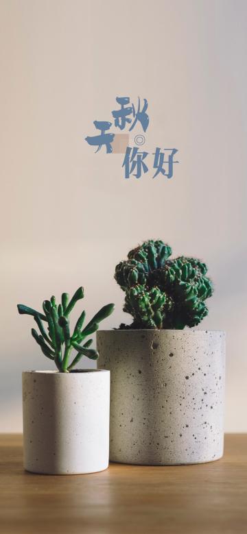 秋天你好：清新绿植