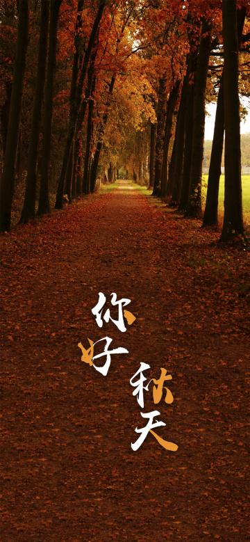 秋天你好：枫林落叶