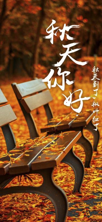 秋天到了，枫叶红了