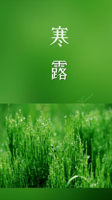 寒露的时候露水