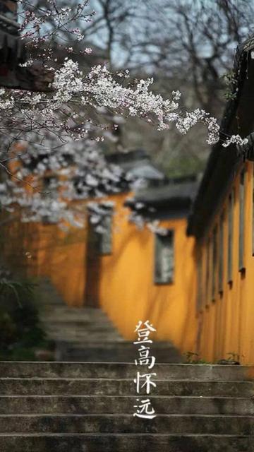 登高怀远