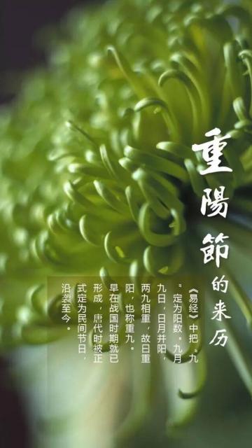 重阳节的来历