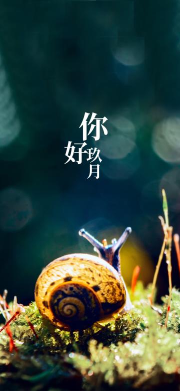 玖月你好可爱的小蜗牛