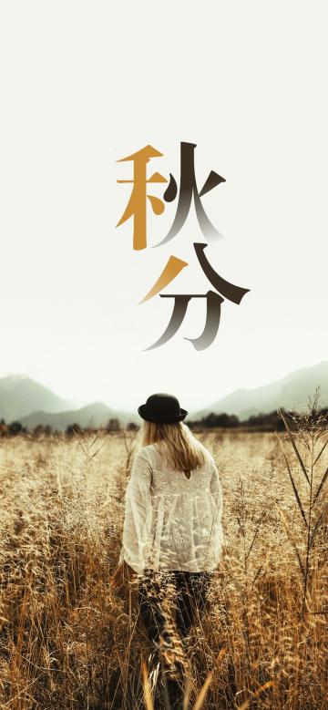 二十四节气之秋分唯美背影