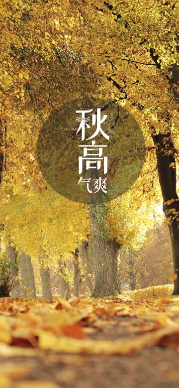 秋高气爽