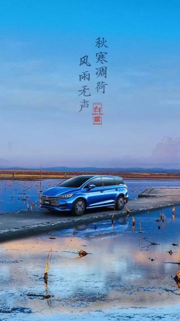 秋寒凋荷，风雨无声