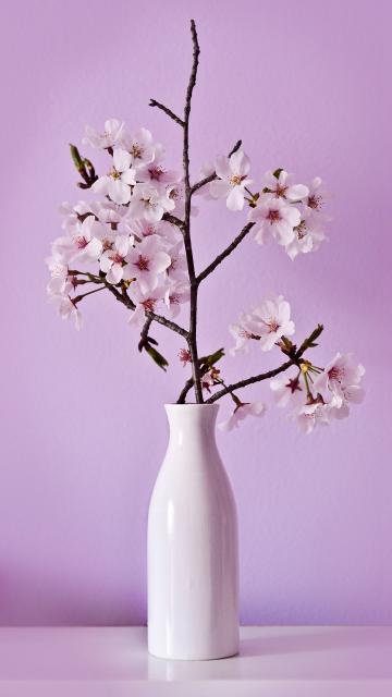 独特的插花