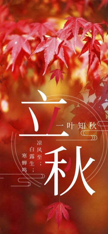 今日立秋