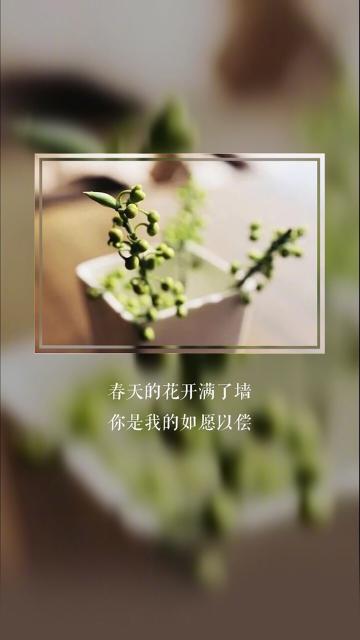 一个人好好过生活