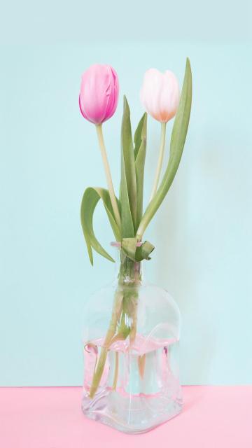 等一季花开