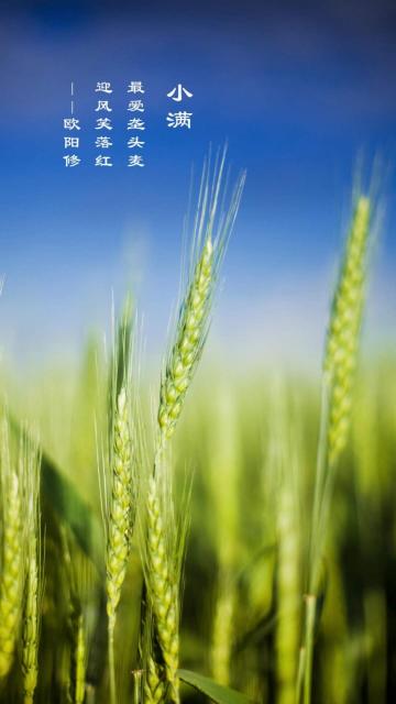 只是小满