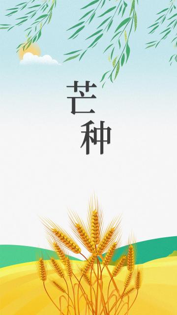 插画风二十四节气芒种