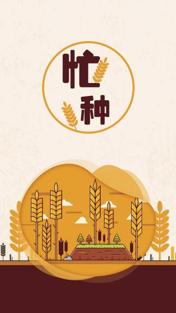 芒种创意简约插画