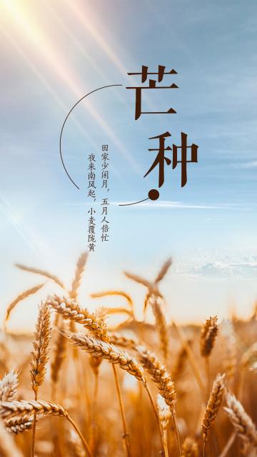 芒种二十四节气唯美插画