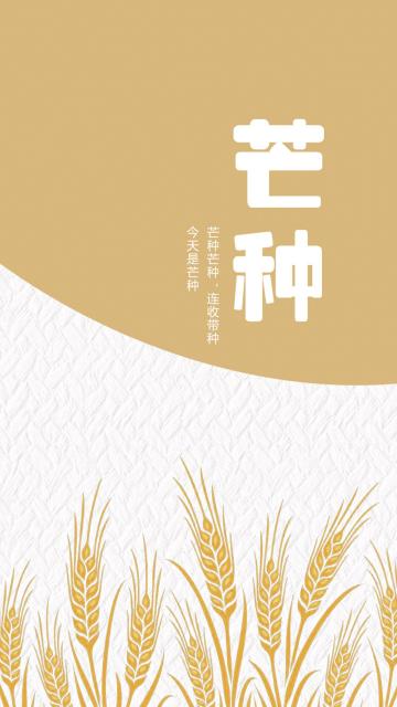 清新简约芒种插画