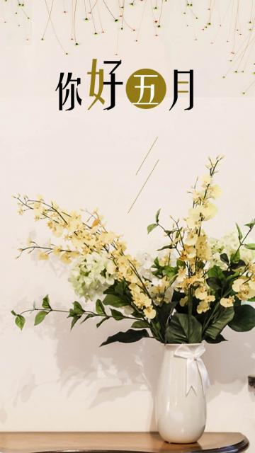 唯美鲜花你好五月