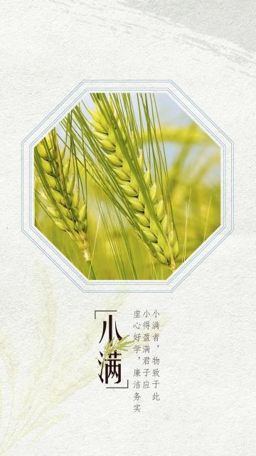小清新简约小满节气