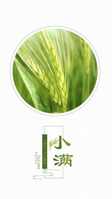 二十四节气之小满时节