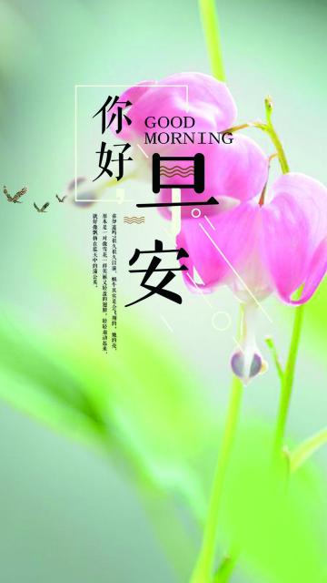 清新唯美你好早安励志正能量心语