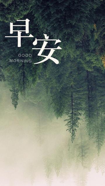 早安你好绿色森林美若黎明