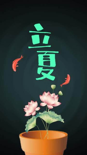 小荷初放立夏到