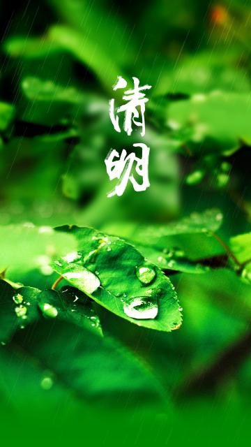 清明时节雨纷纷