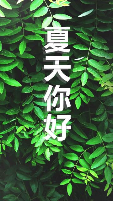 清新绿色夏天你好