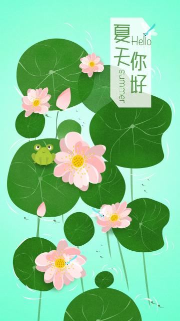 清新荷塘夏天你好