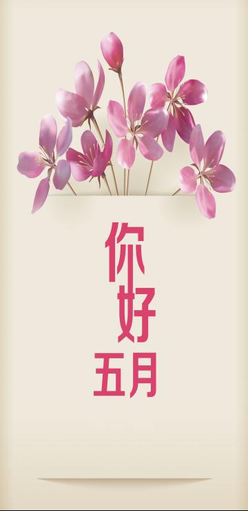 极简五月夏天五月你好