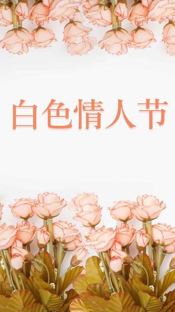 清新简约白色情人节