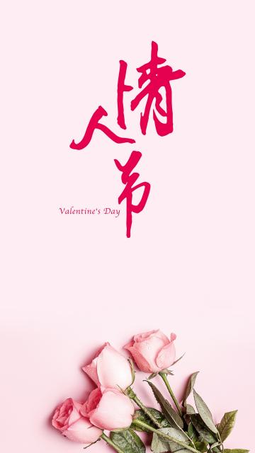 白色情人节玫瑰主题