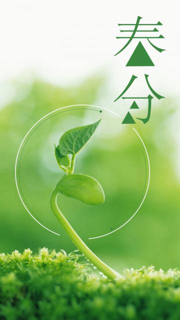 春分,生命又一次涅槃