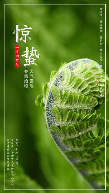二十四惊蛰节气