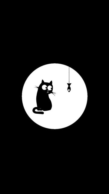 猫鱼之恋