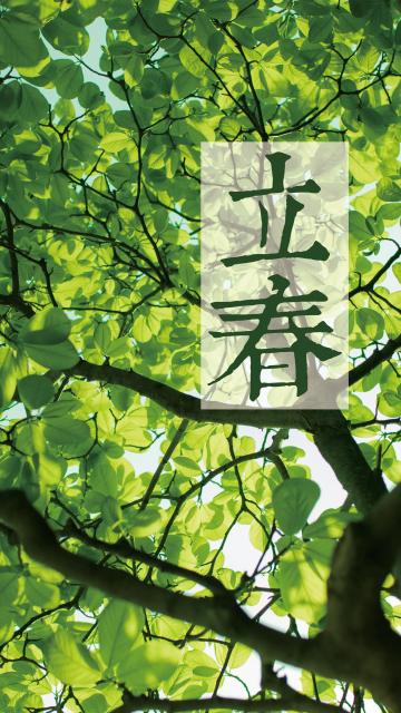 叶子的春天