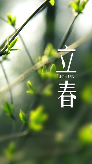 清新绿色立春