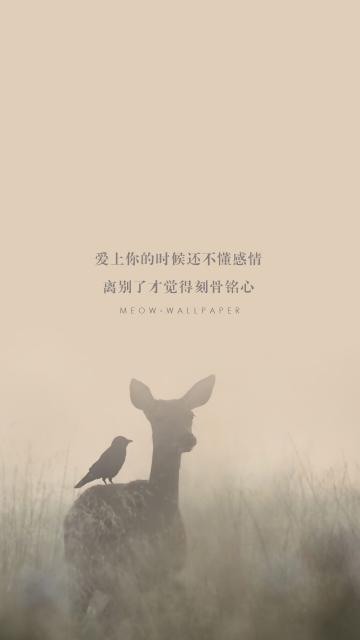 森林麋鹿小清新文字