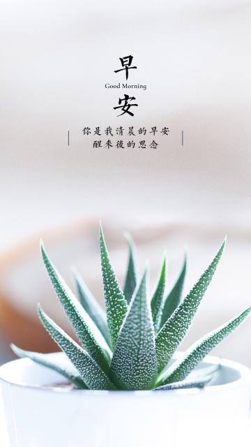 简约文字早安图片
