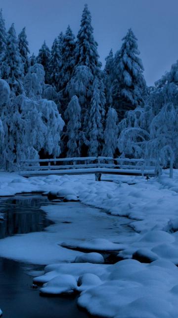 森林湖冰雪桥