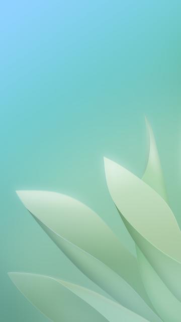 白色花瓣角浅蓝色背景
