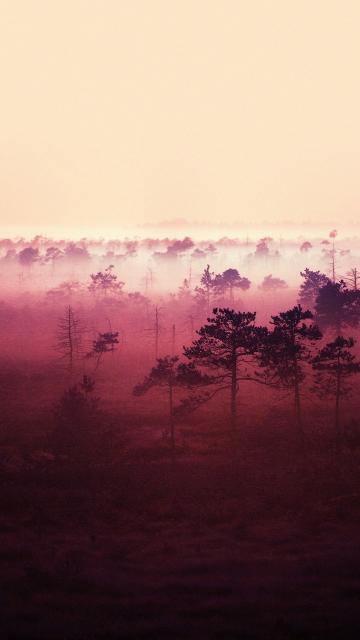 红色夕阳