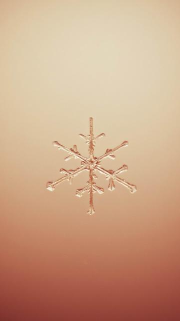 唯美雪花
