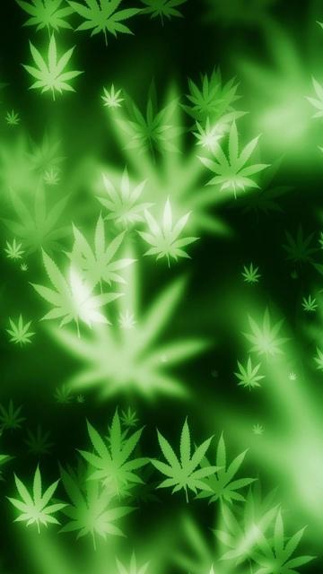 唯美大麻