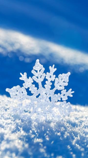 大雪陪你去赏雪
