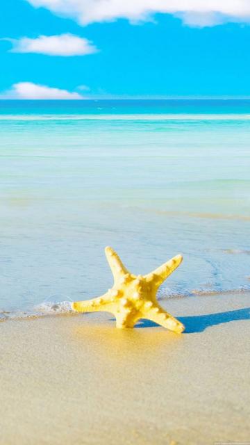 海星海滩